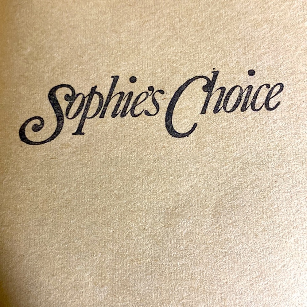 SOPHIE’S CHOICE any WILLIAM STYRON Vintage Paperback Novel Fair - Picture 4 of 6